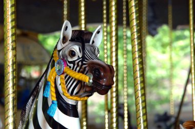 Zebra, atlı karınca, lunaparkta dönüp duruyor. Fotoğraf sadece kafasının fotoğrafı..