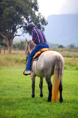 Kotlu ve çıplak gömlekli bir adam, kask takıyor, sabahın erken saatlerinde Hawaii, Kauai 'de ata biniyor..