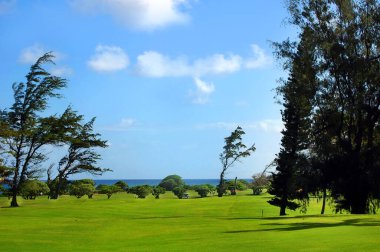 Okyanus, Kauai Adası 'ndaki bu golf sahasının bir parçasıdır. Uzakta golfçüler ve at arabası görülebilir..
