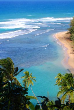 Hawaii 'deki Kauai Adası' ndaki Kalalau Patikası 'ndan Ke' e Sahili 'nin yüksek açılı görüntüsü. Manzara kıvrımlı plajı, palmiye ağaçlarını ve turkuaz suyu gösteriyor..