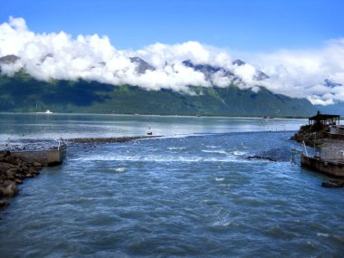 Chugach Mountains surround the Solomon Gulch Fish Hatchery in Valdez, Alaska.  Water and fish channel through the Fish Weir next to the hatchery. clipart