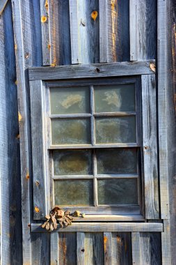 Old pair of gloves sit on the window ledge of the historic mine shaft at the Crater of Diamonds State Park in Arkansas.  Gloves hold diamond hopefuls on its palm. clipart