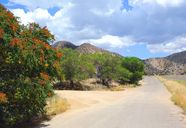 Dirt Lane, Albuquerque, New Mexico yakınlarındaki 40 numaralı otobanın yanından geçiyor. Başka bir ilçe yolu ile kesişir ve daha sonra devam eder ve uzak mesafede kıvrılır..