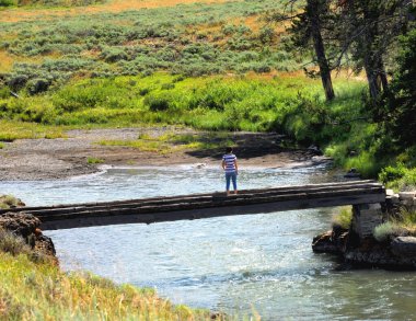 Woman stands on narrow, wooden bridge and admires Soda Butte Creek in Lamar Valley, in Yellowstone National Park.  clipart