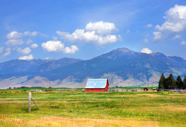 Absaroka Dağları Happy Valley, Montana 'daki bu kırsal çiftlik sahnesinin arkasında yükseliyor. Kırmızı, ahşap ahır, tarla ve atlar bu tarımın bir parçası..