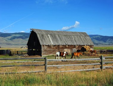 Ahşap bir padok içinde ahşap ahşap ahşap ahşap koltuklar. Atlar günlük saman payları için ahıra gidiyor. Mavi Montana gökyüzü tarım sahnesini çerçeveledi.