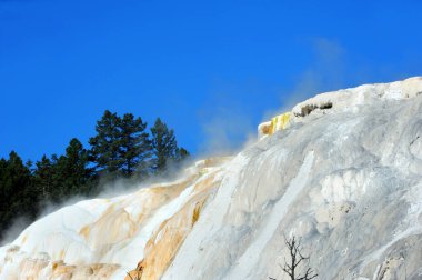 Mammoth Springs 'teki Yukarı Teras' ın jeotermal tepeciklerinden sıcaklık ve sis yükseliyor. İkisi de Yellowstone Ulusal Parkı 'nda..