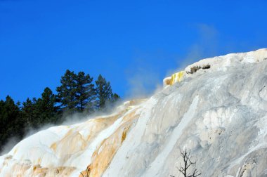 Heat and mist rises from the geothermal mounds of Upper Terrace at Mammoth Springs.  Both are in Yellowstone National Park. clipart