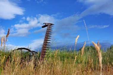 Antik çim biçme makinesi Happy Valley, Wyoming 'de terk edilmiş bir arazide yatıyor. Çim biçme makinesi otlar ve paslanmayla kaplanmış. Demir tekerlek hala bağlı..