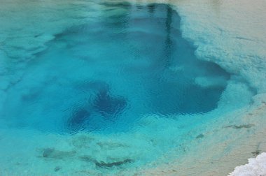 Yellowstone Ulusal Parkı 'ndaki sıcak jeotermal havuzda su rengi parlıyor.