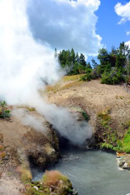 Yellowstone Ulusal Parkı 'ndaki Ejderha Ağzı Pınarı' nda yer altındaki kaplıcalardan buhar çıkıyor..