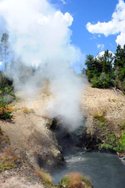 Ejderhanın Ağzı Pınarı girişten buhar ve duman püskürtür. Sıcak Bahar Yellowstone Ulusal Parkı 'nın Çamur Yanardağı bölgesinde..