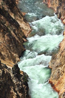 Yellowstone Nehri Lower Falls 'tan ayrılırken, kıvrımlı su yolu dik ve dar kanyon duvarları. Beyaz su akıntıları yuvarlanıyor ve kaynıyor.
