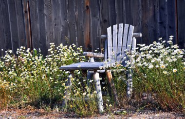 Kırsal ahşap sandalye ve masa papatyalarla çevrili ve kabataslak ve yıpranmış çitlerle dolu..