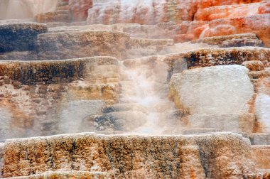 Renkli teraslar Yellowstone Ulusal Parkı 'ndaki Mamut Kaplıcaları' nın bir parçasıdır. Kaplıcalardan buhar ve ısı yükseliyor..