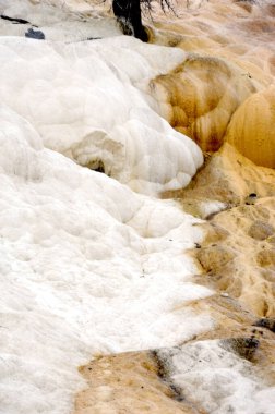 Travertine depozitoları Yellowstone Ulusal Parkı 'ndaki Mammoth Springs teraslarını oluşturur..