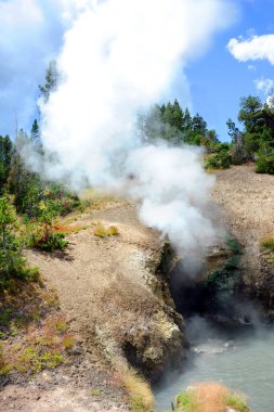 Yellowstone Ulusal Parkı 'ndaki Ejderha Ağzı Pınarı' nda yer altındaki kaplıcalardan buhar çıkıyor..