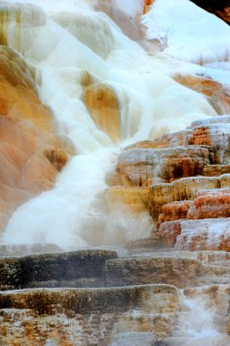 Travertine atıkları Yellowstone Ulusal Parkı 'ndaki Mammoth Springs' in kaplıcalarından çıkan buharla karışır..