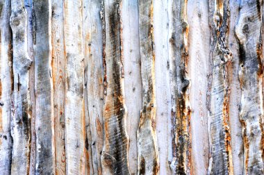 Arkaplan resmi kütüklerden kesilen tahta tahtalardır. Düğümler ve kabuklar doku ekler.