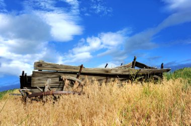 Full length image of a broken down, wooden, wagon.  It is sitting in a field surrounded and overgrown with weeds.  Blue sky overhead. clipart