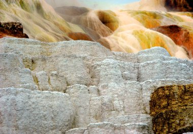 Yellowstone Ulusal Parkı 'ndaki Mammoth Springs' teki teraslar beyaz, kahverengi, turuncu ve sarı renkte..