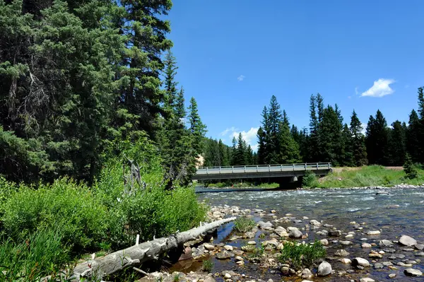 stock image Highway and bridge crosses the Gallatin River in Montana.  Large piece of driftwood lays along river's shoreline.