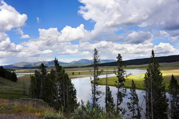 Yellowstone Ulusal Parkı 'ndaki kıvrımlı nehir, uzaktaki dağlar tarafından destekleniyor..