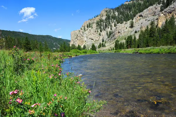 Gallatin Nehri, Montana 'da 191 numaralı çevre yolu boyunca akar. Sinek balıkçıları, Gallatin Vadisi 'nin huzurlu ve huzurlu tadını çıkarırlar..  