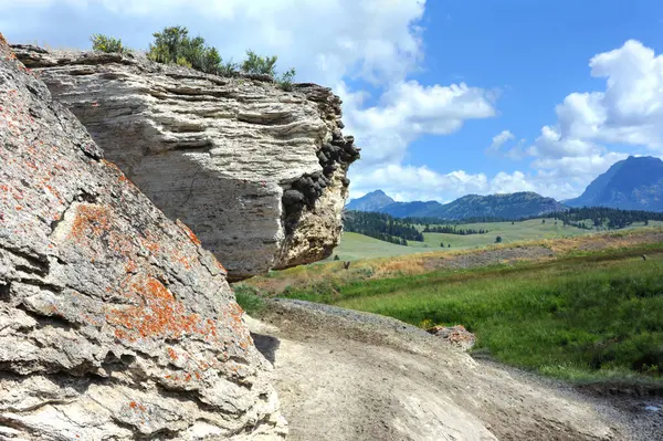 stock image American Cliff Swallows have nested on Soda Butte, a dormant hot springs in beautiful Lamar Valley, in Yellowstone National Park. 