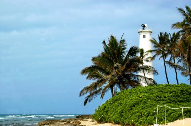 Hawaii 'deki Oahu Adası' ndaki Barber 's Point Deniz Feneri' nin yanında engebeli kumlu bir sahil var. Palmiye ağaçları beyaz silindir şekilli deniz feneri çerçevesi.                                