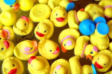 Sarı ördekler su dolu bir küvette yüzerler. Ördeklerin üzerinde mavi şapkalar ve pembe papatyalar vardır..