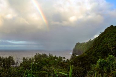 Yağmurdan sonra, Hawaii 'nin Büyük Adası' ndaki Laupahoehoe Point 'te Hamakua Sahili üzerinde bir gökkuşağı belirir. Yağmurlar hala bulutların ve gökkuşağının altına yağıyor..