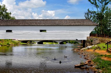 Elizabethton Kapalı Köprüsü Elizabethton, Tennessee 'deki Doe Nehri boyunca uzanır. Kar kazları nehirde yüzer ve kıyılarda güneşlenir..
