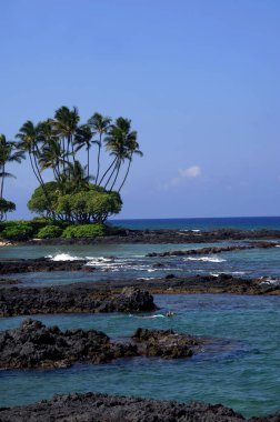 Snorkler Hawaii 'nin büyük adasının Kohala Sahili' ndeki Anaehoomalu Körfezi 'ndeki lav kayalarını ve sualtı dünyasını keşfeder..