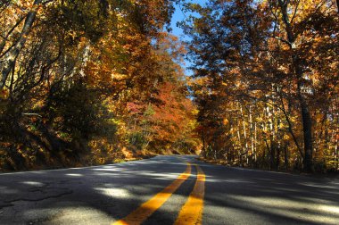 23. Otoyol 'un alçak açılı görüntüsü. Domuz Patikası olarak da bilinir. Ozark Ulusal Ormanı 'nın sonbahar rengiyle kaplıdır..