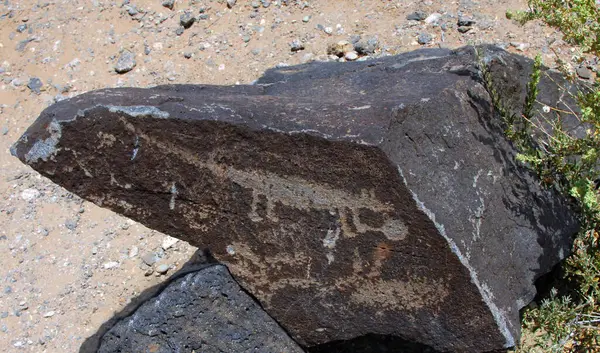 Albuquerque, New Mexico 'daki Petroglyph Ulusal Anıtı' nda büyük bazalt kayalar petroglyph çizimleri sergiliyor. Pueblo Hint sanatı ve kültürü parkta korunmaktadır..
