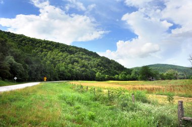 Arkansas otoyolu Ozark Dağı 'nın etrafında kıvrılır ve kaybolur. Kırsal ahır ve ahşap çitler otobanın yanında.