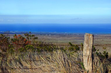 Hawaii 'deki Kona Sahili' nin Highlands manzarası. Ön planda ahşap çit direği, dikenli tel ve çiçek açan çiçekler var..