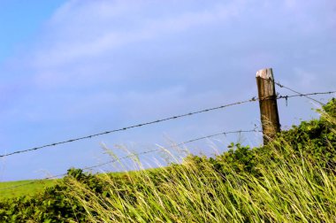 Hawaii 'nin Büyük Adası' ndaki eski dikenli tellerin yerini eski haber onarımları olarak yeni çitlere bırakıyor. Eski ahşap çit direği iki ipliği de yerinde tutuyor..