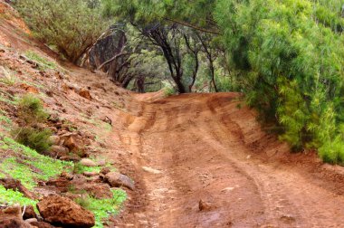 Rough and bumbpy, back road, leads to a secret beaches known only to the native Hawaiians, on the Big Island of Hawaii.  clipart