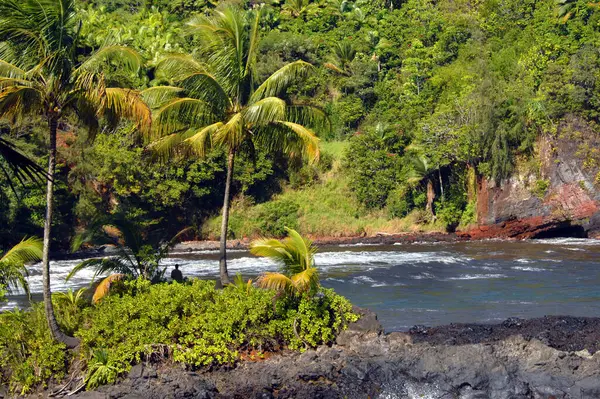 Balıkçılar Hawaii 'nin büyük adasındaki Onomea Körfezi kıyısında palmiye ağaçlarının gölgesinde sessizce avlanır..