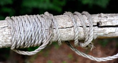 Tree trunk serves as old water well bar securing rope for water pail.  Rope is old and frayed and is weathered and aged. clipart