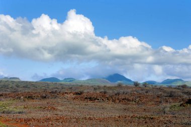 Büyük Hawaii Adası 'nda pek çok hareketsiz kül konisi var. Bu grup bulutlarla kaplı..
