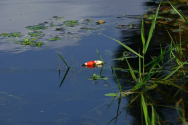 Forgotten and abandoned cork floats in the grass along the shores of a lake in Northern Louisiana.  Fishing season is over and winter is on the way. clipart