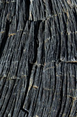 Pahoehoe style of lava is formed from slow flowing eruption.  This texture is ridged and cracked. clipart