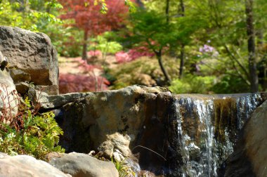 Hot Springs, Arkansas 'taki Garvin' s Woodland Garden 'da şelaleler, havuzlar ve köprüler bulunmaktadır. Japon akçaağacı ve bahar ağaçları kırmızı ve yeşil renk verir..