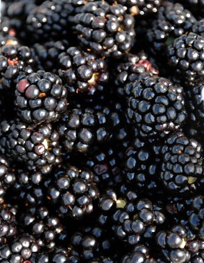 Olgun böğürtlenlerin soyut arkaplan resmi.