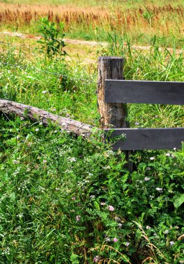 Köşede eski ve yıpranmış bir kütük var. İstikrar için destek kurulları eklendi. Etrafında yabani otlar ve çiçekler büyüyor..