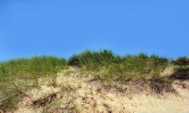 Grand Haven yakınlarındaki Michigan Gölü 'ndeki seyrek çimlere yapışan kum tepesinin arka plan görüntüsü..