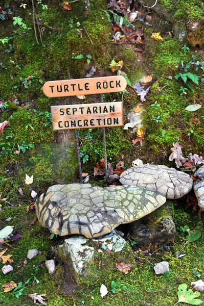 stock image A section of rock, called Turtle Rock, is on display at the Natural Bridge in Arkansas.  It is also labeled as an example of Septarian Concretion.